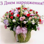 z-dnem-narodzhennia48